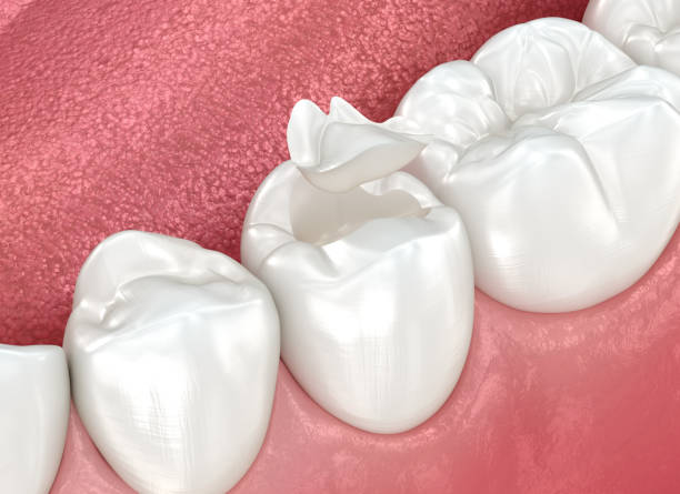 Professional  Dental Services in Seymour, TX